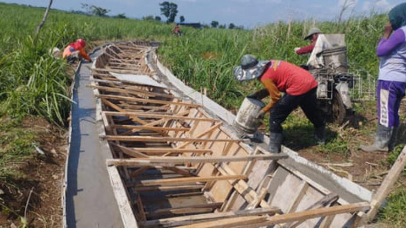 Irigasi Ngawi (1)